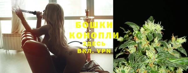 дживик Мегион