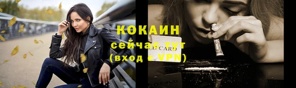 дживик Мегион