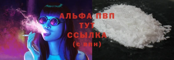 дживик Мегион