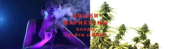 дживик Мегион