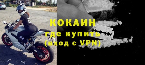 дживик Мегион