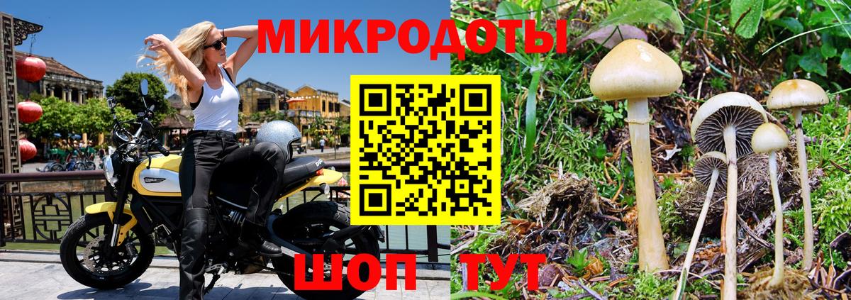 Великий Новгород  Галлюциногенные грибы Psilocybine cubensis  Вход с VPN 