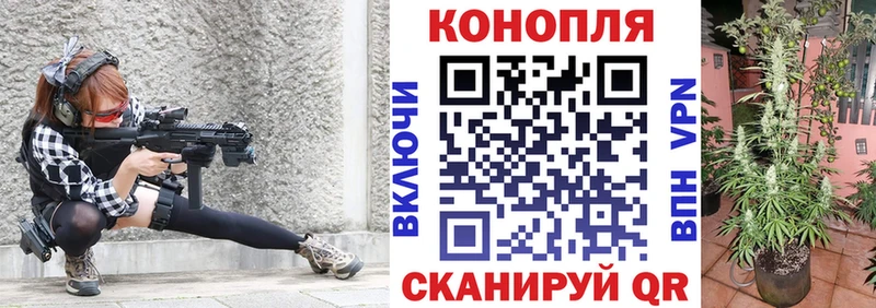 где купить наркоту  Великий Новгород  Бошки Шишки White Widow 